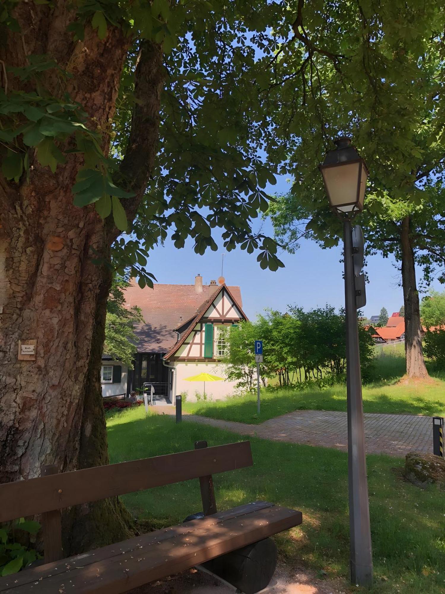 Ferienwohnung Am Keschtebaum, 70Qm Sasbachwalden Kültér fotó