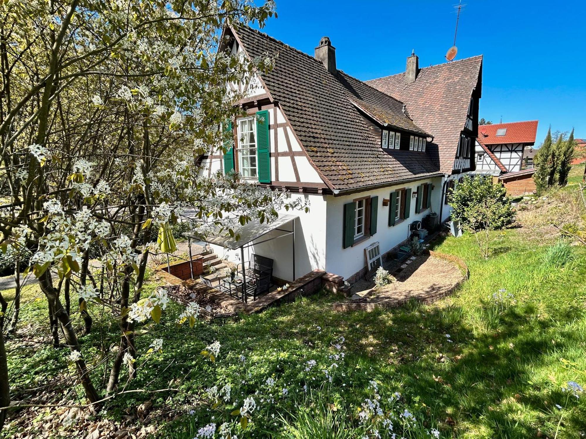 Ferienwohnung Am Keschtebaum, 70Qm Sasbachwalden Kültér fotó